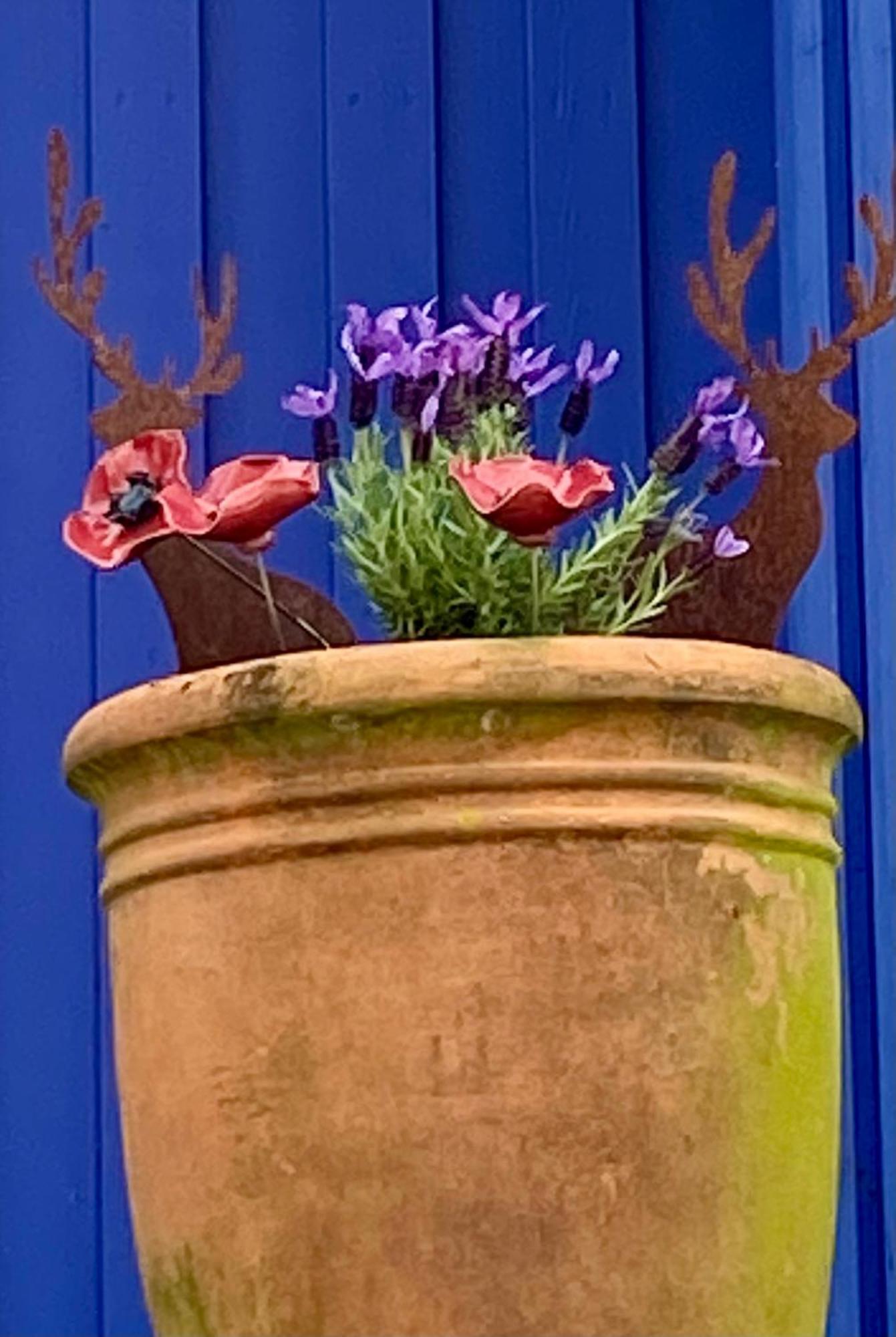Blaue Haus *